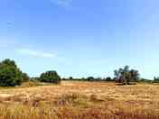 Hay and the sky