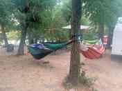 Pitches tucked under the trees