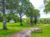 Pitches and picnic tables among the trees
