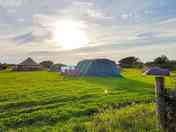 Pitches for family and group bookings