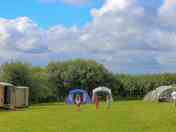 Camping at Meadowsweet
