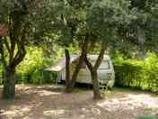 Caravan pitch under the trees