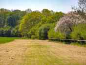 View down the field