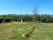 Sunny pitch