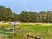 Peaceful site in the Sussex Weald