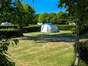 Grass pitches