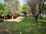 Pitches among the trees