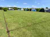 Bronze pitch