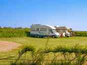 Pitches on site
