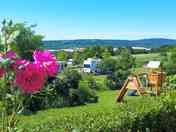 Flowers and children's play with camping places in the background