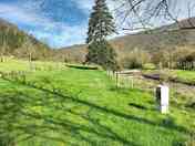 Grass pitches