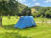Medium tent pitch