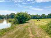 Camping pitches alongside the big lake (added by manager 17 Aug 2023)