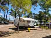 Campsite pitches