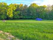 Visitor image of the campsite