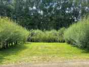 Grass pitch