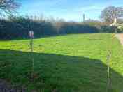 Grass pitches