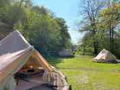 Bell tents in Alpaca area