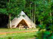 Bell tent surrounded by trees (added by manager 03 Aug 2022)