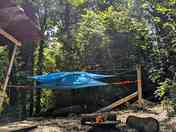 Suspended tree tent