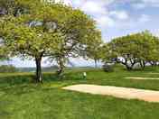 Electric hardstanding and grass pitch