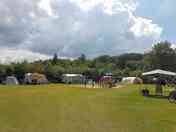 Camping on the Narcissus field