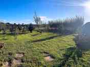 Grass pitches
