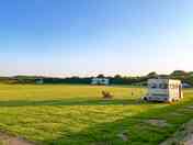 View of the site