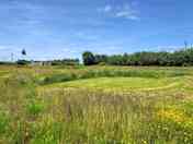 Meadow-style mown pitches with pathways