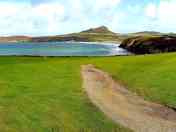 Beach Field