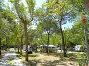 Shaded pitches