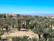 Pitches among the palm groves