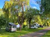 Pitches among the trees