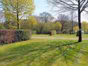 Tree-shaded pitches