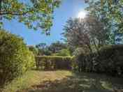 Hedges around pitches for privacy