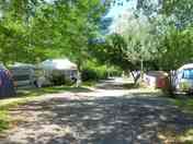 Shaded pitches in the woods