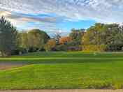 Electric Grass Pitches