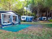 Shaded hardstanding and grass pitches