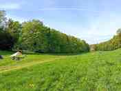 Visitor image of the Lovely and peaceful area