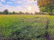 View of camping field