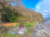 The middle pitch, Dulas. A soft wood chip patch for tent and surrounded by grass and shrubs