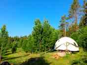 Wigwam #1 under the summer light (added by manager 19 Apr 2024)