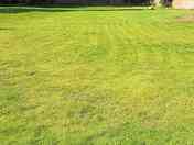 Camping Field