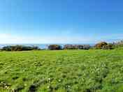 Grassy pitches