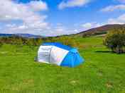 Medium tent pitches