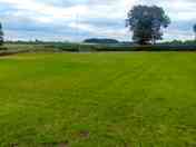 Mown grass