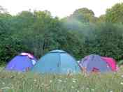 Tent pitches