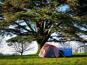 The campsite