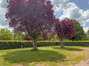 Level grass pitches