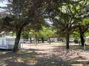 Greenery